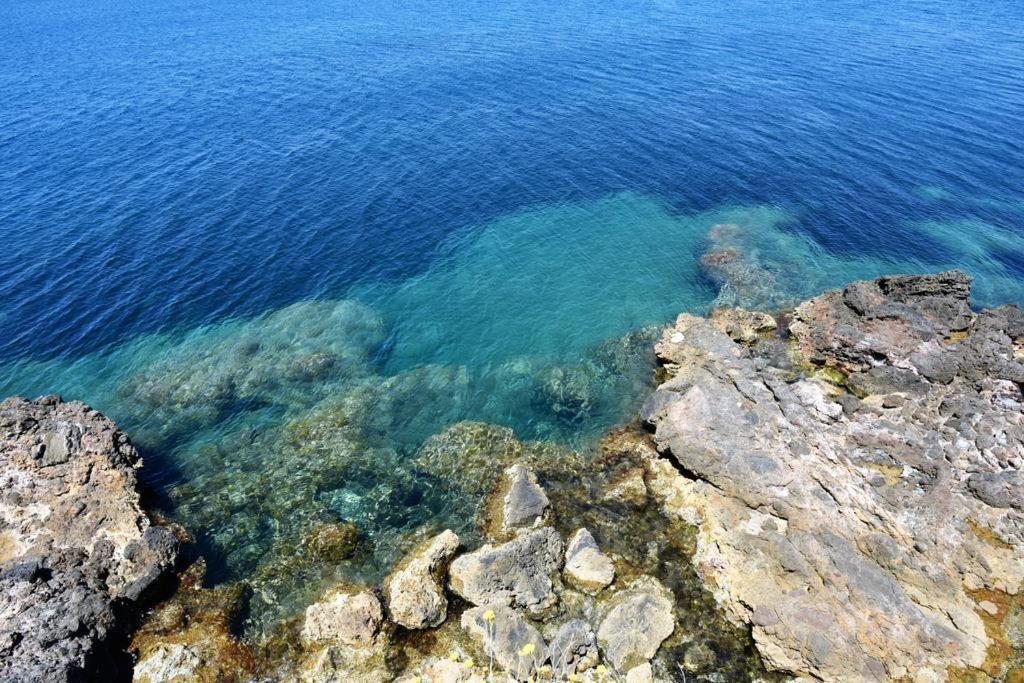 Villa Flora Argentario Porto Santo Stefano  Ngoại thất bức ảnh