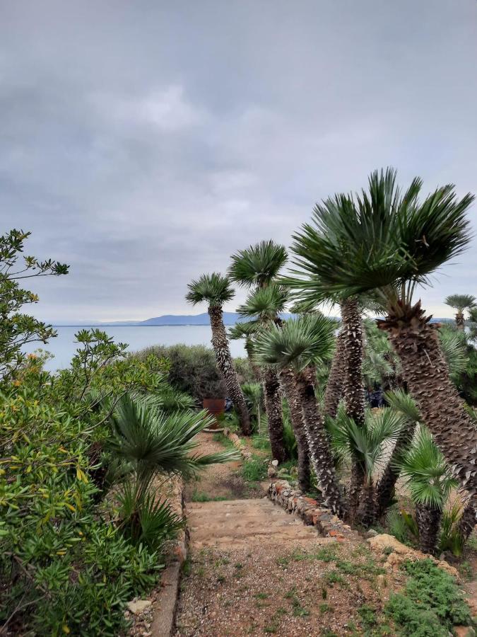 Villa Flora Argentario Porto Santo Stefano  Ngoại thất bức ảnh