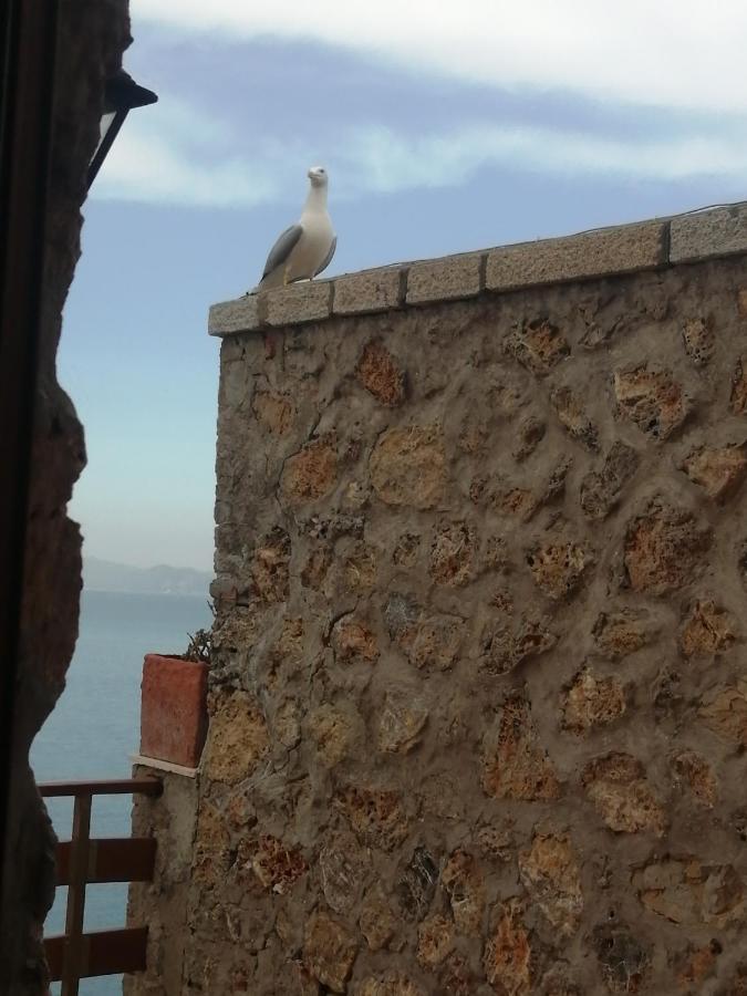 Villa Flora Argentario Porto Santo Stefano  Ngoại thất bức ảnh